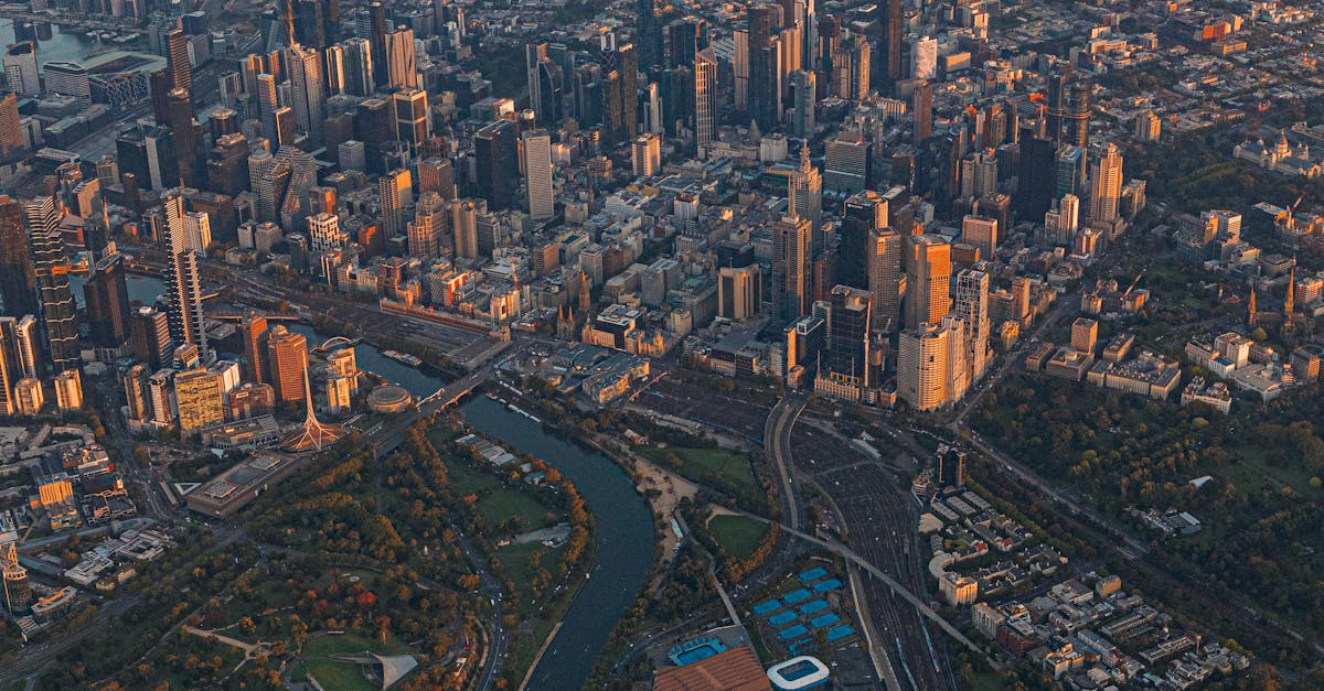 Addressing the Risks of Moss and Lichen on Roofs