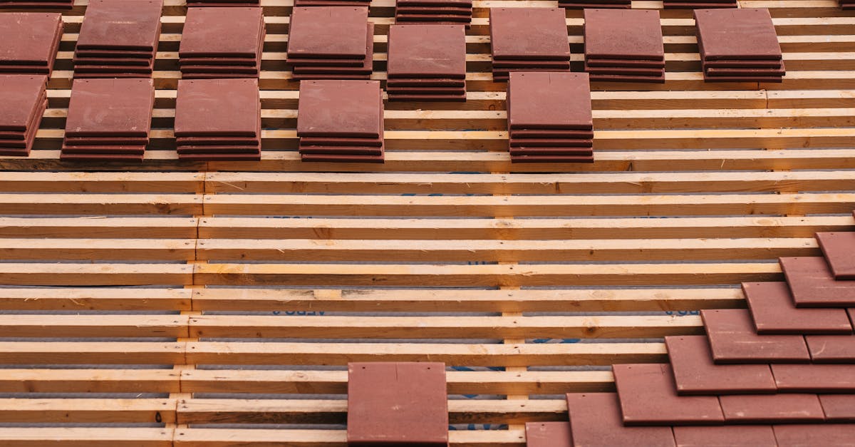 Essential Spring Cleaning Tips for Your Roof