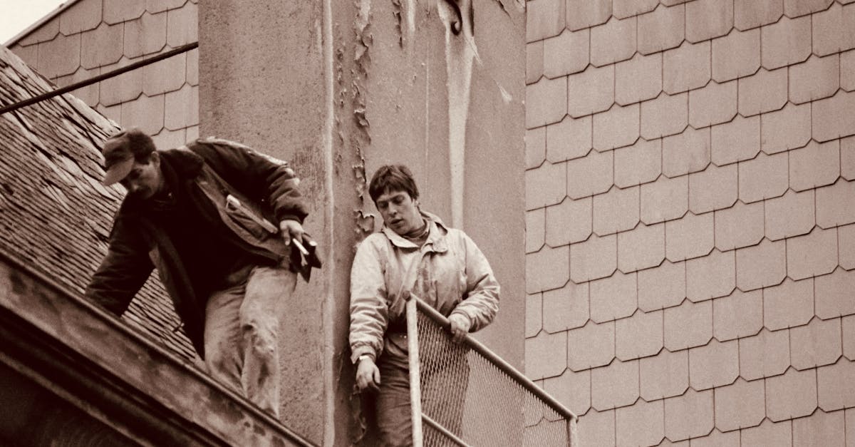 Managing Tree Overgrowth for Effective Seasonal Maintenance