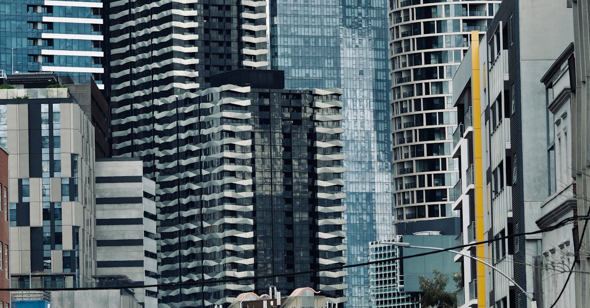 The Role of Professional Services in Roof Longevity